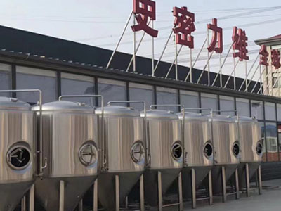 沔城回族镇精酿啤酒设备厂—如何判断精酿啤酒设备的密封件需要更换？